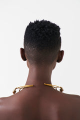 Veronica constellation collar horn & brass necklace